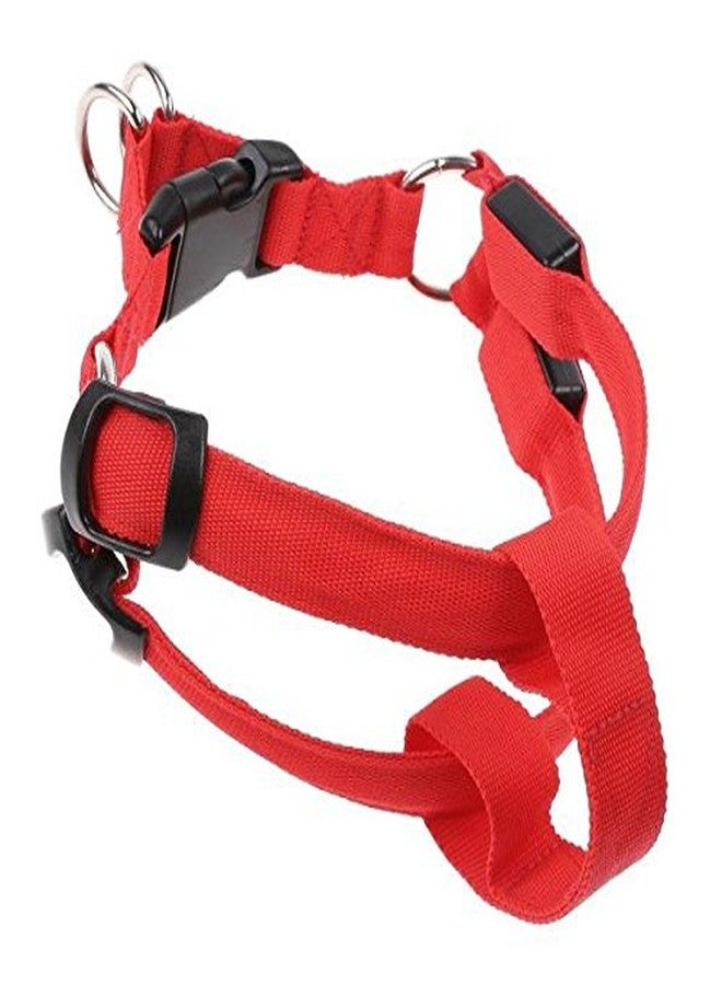 فوتابا ضوء وامض LED للكلاب من فوتابا، 3 أوضاع - أحمر - صغير - Image 4